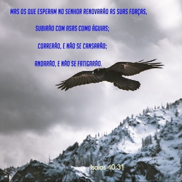 Isaías 40:31