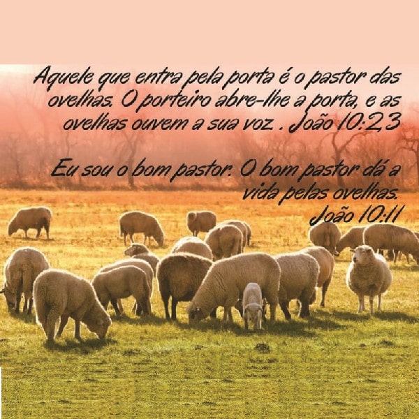 João 10:2-3, 11