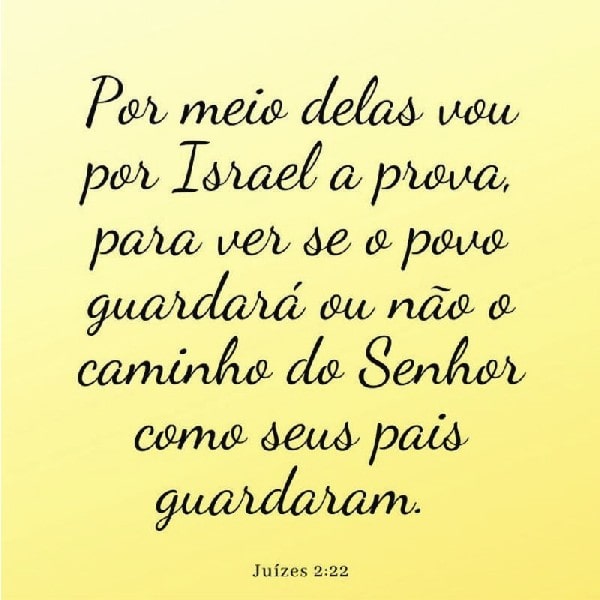 Juízes 2:22