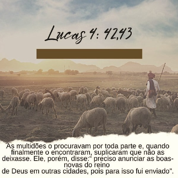 Lucas 4:42-43