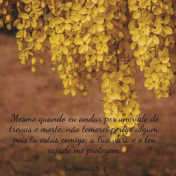 Salmos 23:4