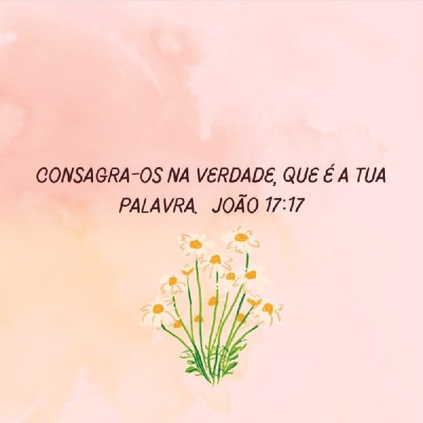 João 17:17