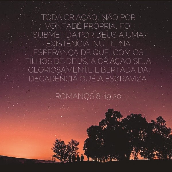 Romanos 8:19-20