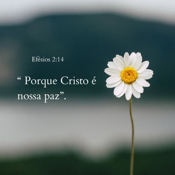 Efésios 2:14