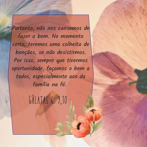 Gálatas 6:9